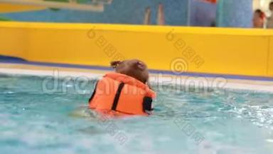 穿着救生衣在游泳池里的小女孩学会游泳。 在水里游泳的婴儿